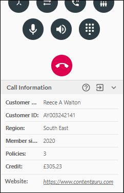 Call information at bottom of panel